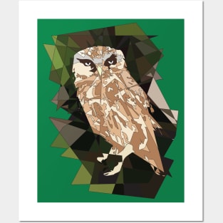 Night owl Posters and Art